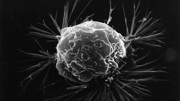La realidad de los virus que prometen curar el cáncer