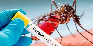 Casos de Dengue han aumentado más del 30 por ciento  a nivel nacional, según MINSAL