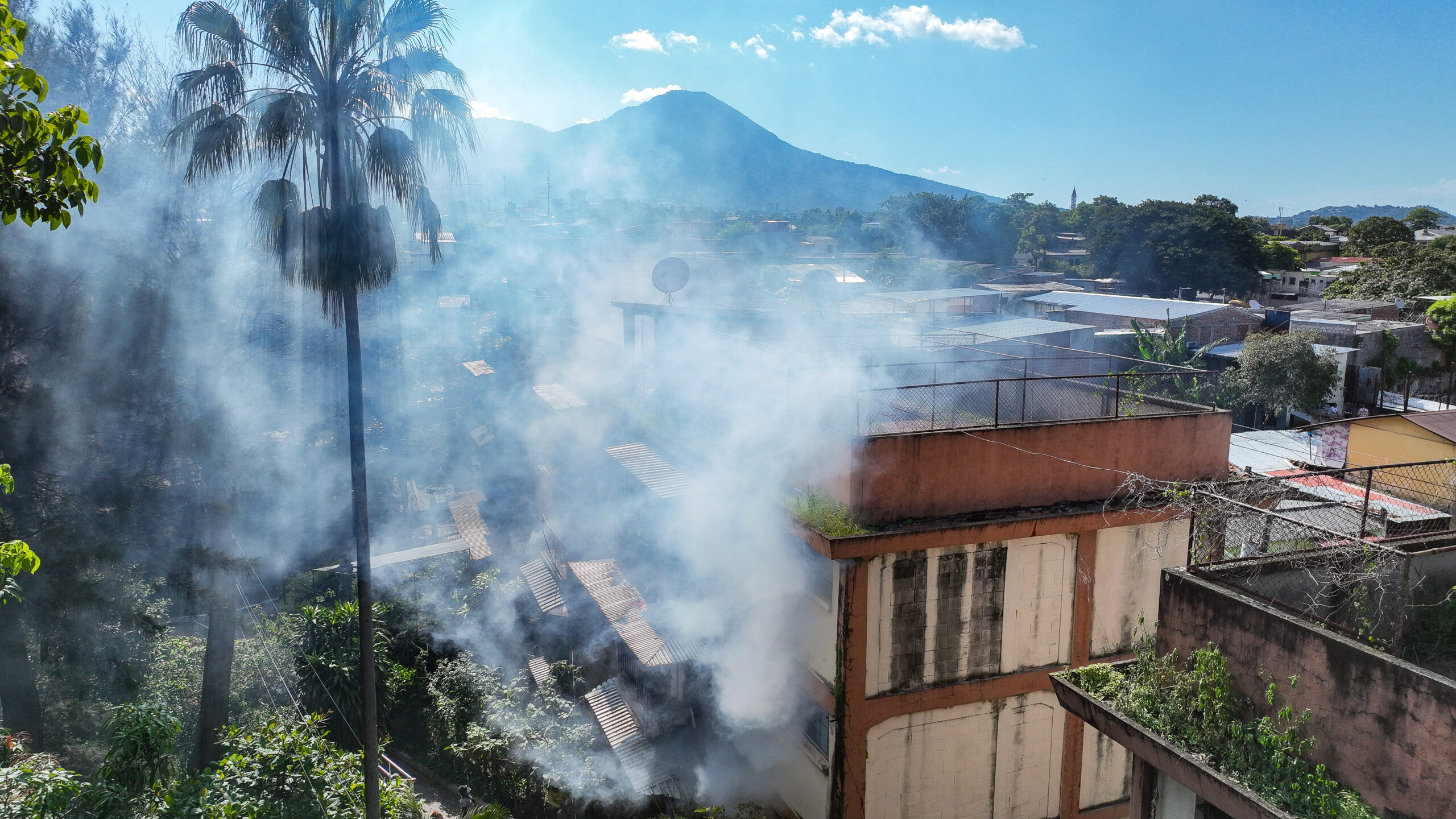 San Salvador libre de zancudos trasmisores del dengue